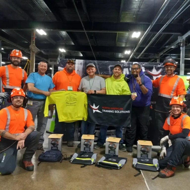 Tree and stump removal services team working in Albany NY