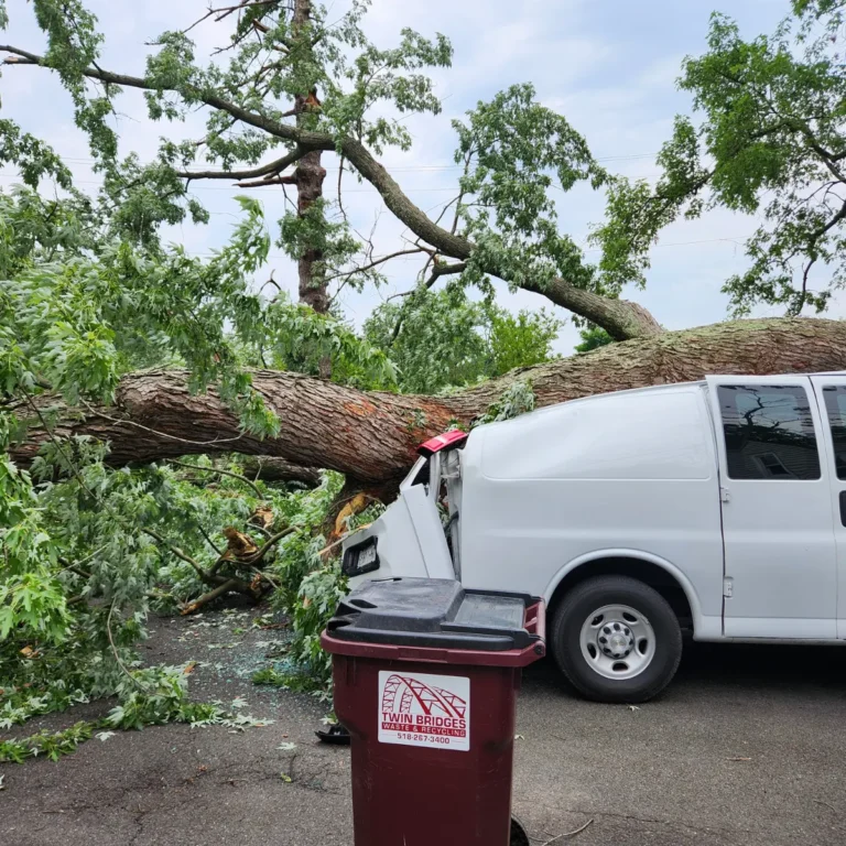 Emergency Tree Removal Storm Damage - Tree Trimming & Pruning - Tree and Stump Removal Service Clear Choice New York