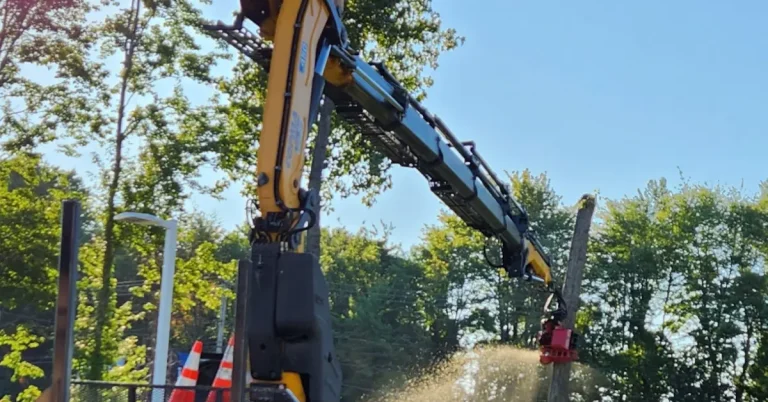 Voorheesville, NY tree services - professional trimming, removal, and cleanup