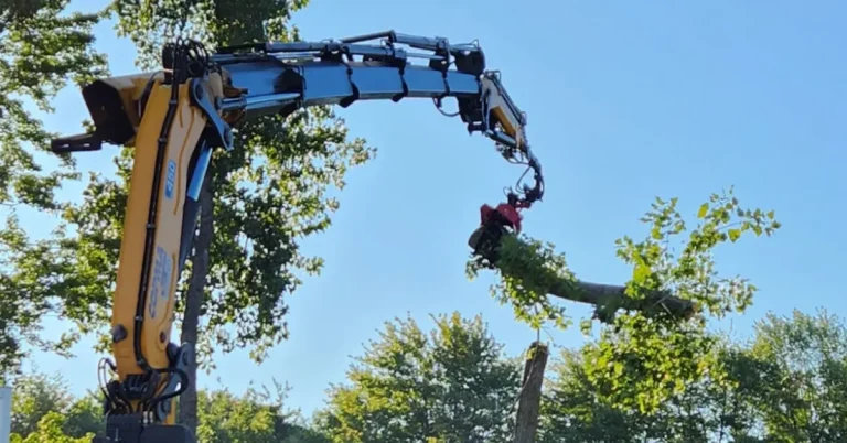 crane removing a tree in Guilderland, NY