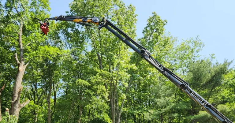 Tree Services in Schenectady NY by Tree & Stump Removal Service