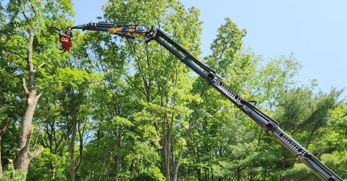 Tree Services in Schenectady NY by Tree & Stump Removal Service