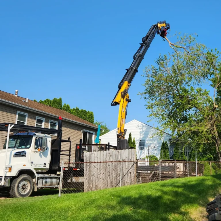 Fully Insured Tree Services – Albany, NY
