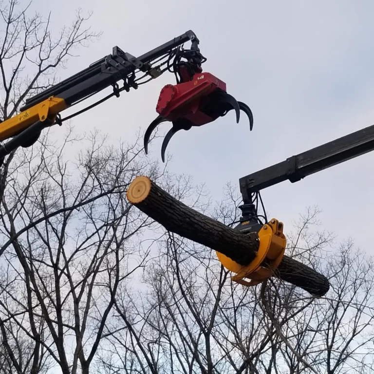 Tree and Stump Removal Service crew working in Albany, NY on tree removal and storm cleanup