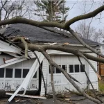 Overgrown tree branches extending toward a residential roof and power lines