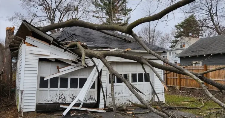 Overgrown tree branches extending toward a residential roof and power lines