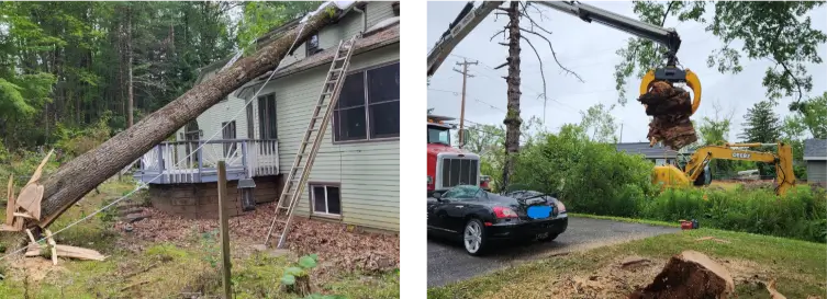 Tree & Stump Removal Service team providing emergency storm cleanup after a fallen tree.