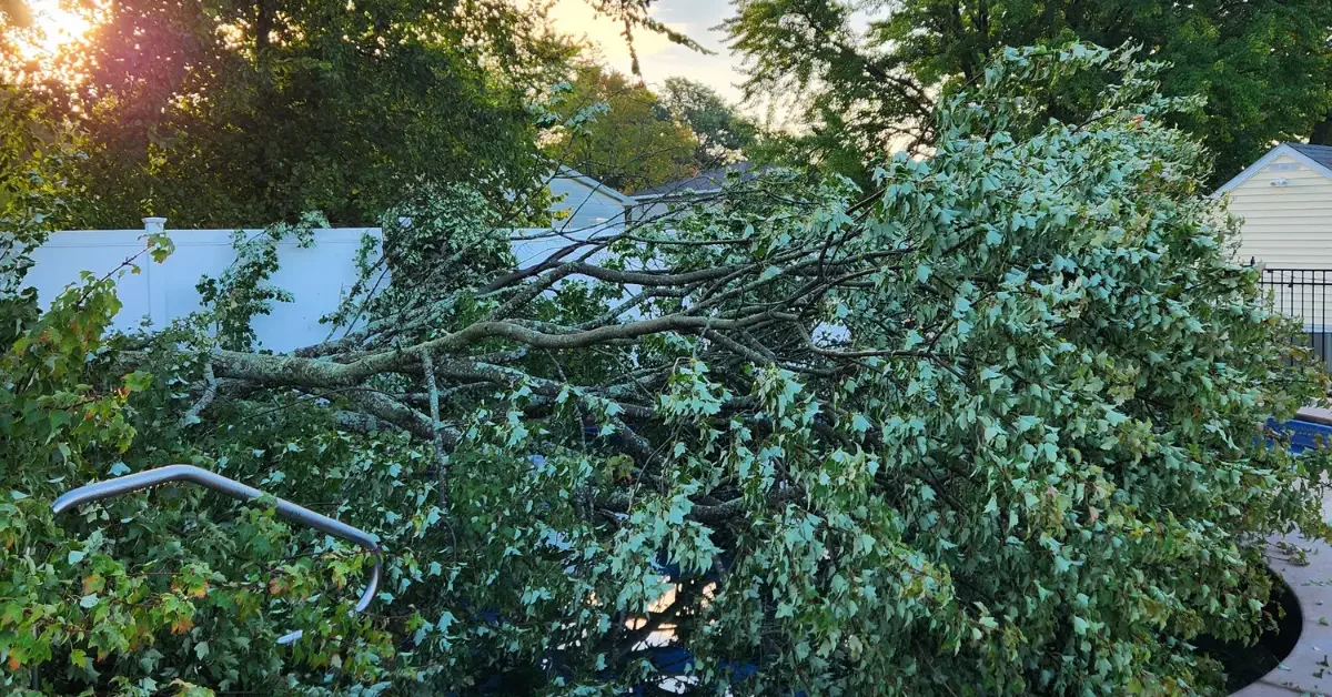24_7 emergency tree service crew responding to storm damage in Rensselaer, NY