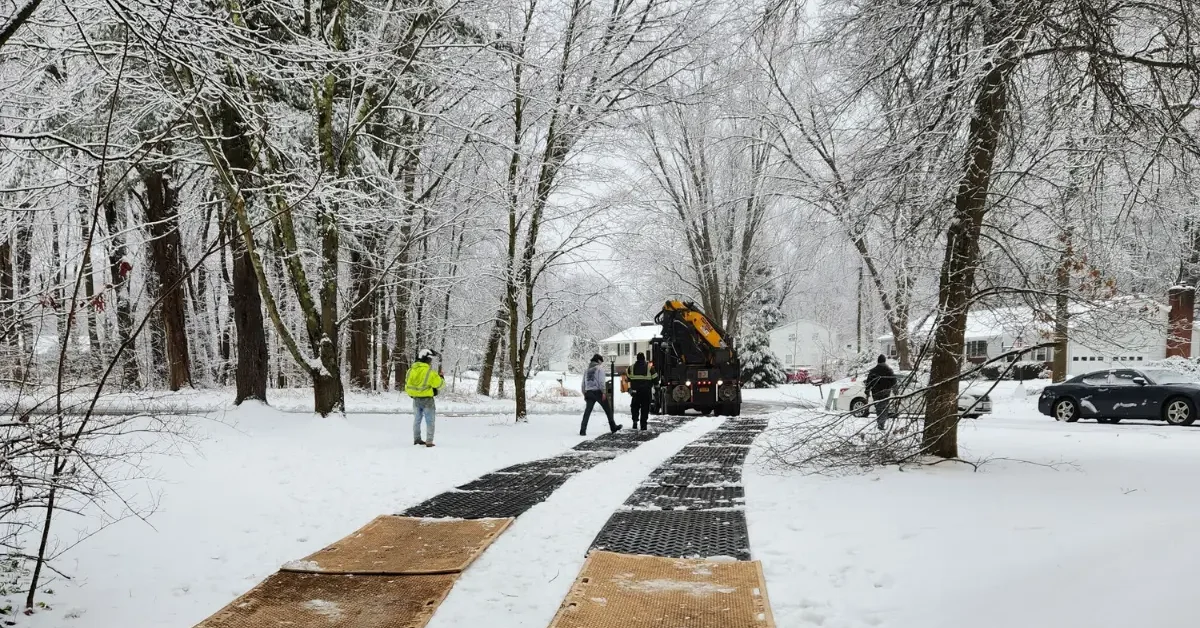 Winter pruning in Rensselaer County on a dormant oak tree