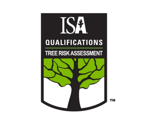 TRAQ Certified Tree Risk Assessment Qualification Tree and Stump Removal Service Clear Choice New York